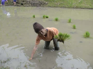 2�c�A�����y���ނ䂤�����