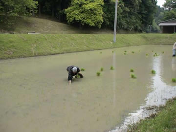 3�G�[�W�c�A��