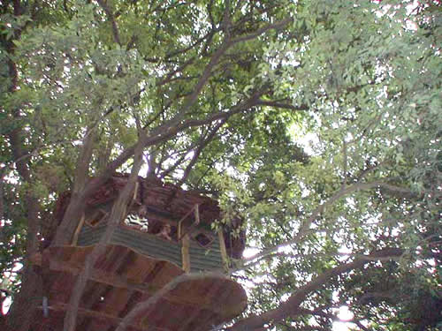 3�c���[�n�E�X�ߌi