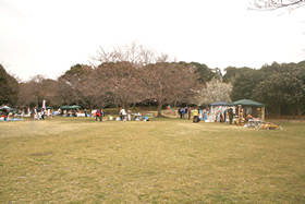 2011.04.03 ��[�����R����