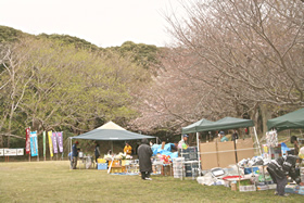 2011.04.03 ��[�����R����