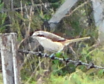 �V�}�A�J���Y