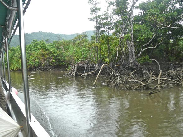 �����T�L�T�M