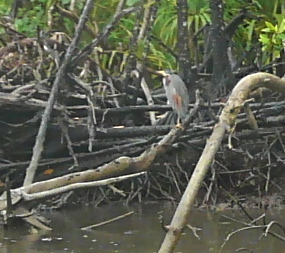 �����T�L�T�M