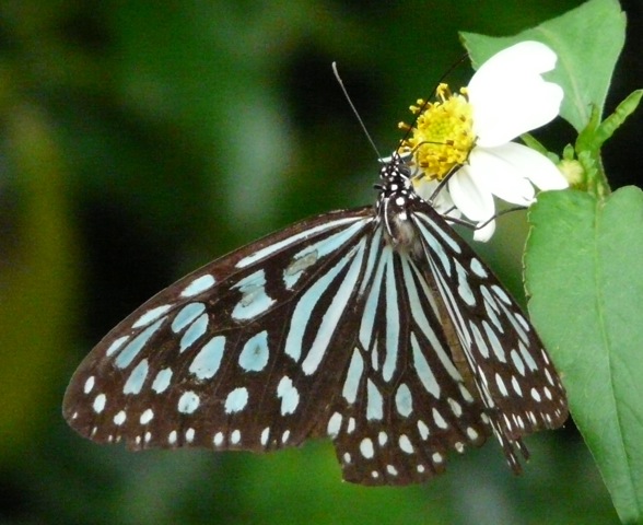 �����E�L���E�A�T�M�}�_��