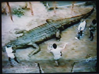 この映画のシーン2