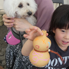 エコライフフェア2018