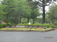 ラベンダーマルシェ