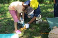 スリットドラム